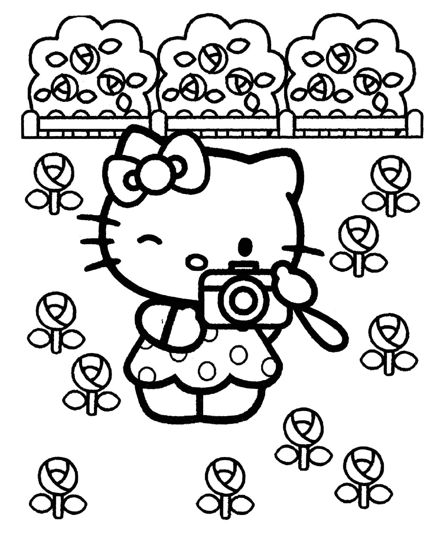Hello kittynin fotoğraf çektirdiği boyama resmi
